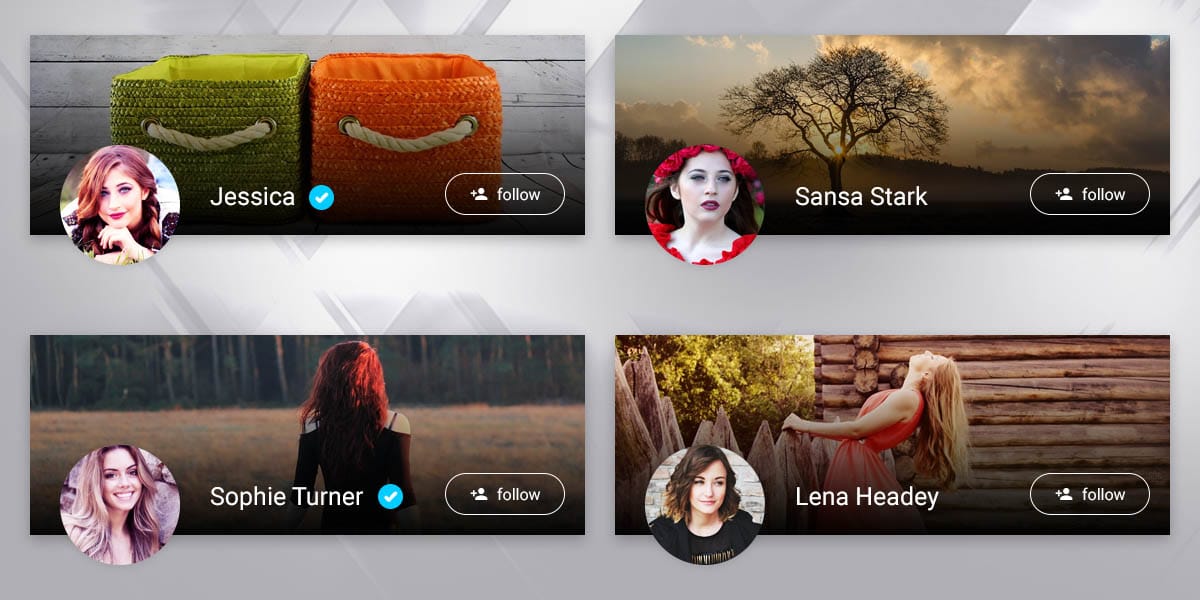 User Profile – User directory