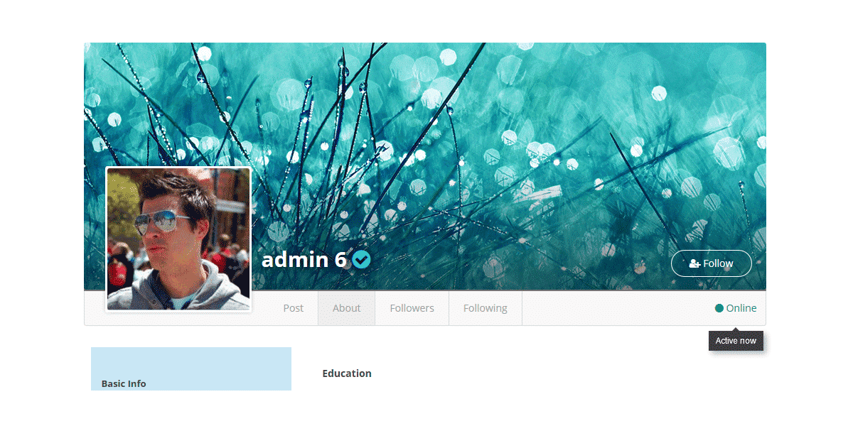 User profile – Online Users
